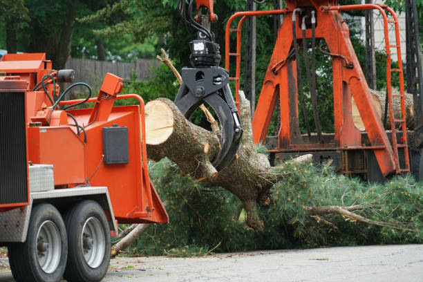 Lawn Renovation and Restoration in Malvern, PA